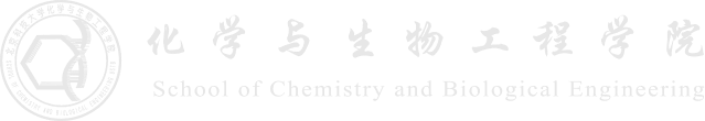 成人a片